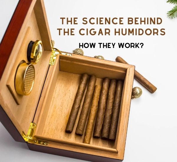 What Is a Cigar Humidor and How Does It Work? – Groovy Cigars